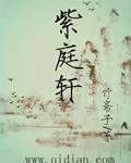 紫庭名苑别墅